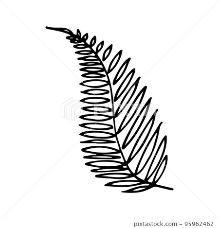 Vector branch and leave. Hand drawn floral elements. Black outline plant on white background. Vintage botanical doodle illustrations. 95962462