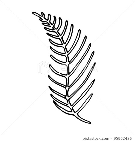 Vector branch and leave. Hand drawn floral elements. Black outline plant on white background. Vintage botanical doodle illustrations. Vector branch and leave. Hand drawn floral elements. Black outline plant on white background. Vintage botanical doodle illustrations. 95962486