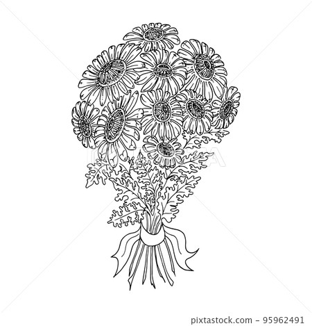 Botanical doodle. Chrysantbouquet black and white lineart, hand drawn sketch. Vector illustration 95962491