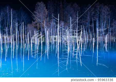 Biei Blue Pond Illumination (November 2022) Biei Blue Pond Illumination (November 2022) 95963336