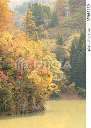Fukushima Oku-Aizu Mugenkyo Pass Autumn Leaves 95964889