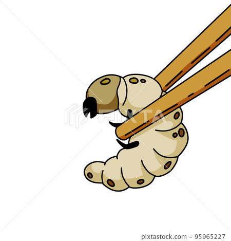 Edible larva. Eating caterpillar with chopsticks. Asian snack and street fast food. Source of insect protein. Edible larva. Eating caterpillar with chopsticks. Asian snack and street fast food. Source of insect protein. 95965227