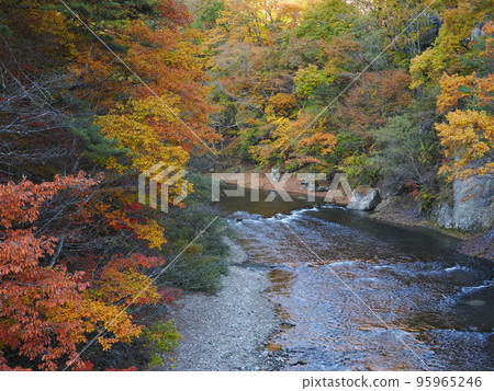 Katashina Valley in Autumn Katashina River Katashina Valley in Autumn Katashina River 95965246