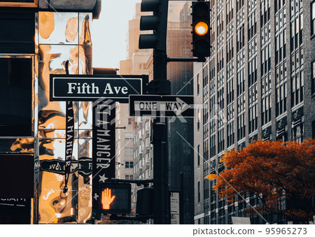 New York Fifth Avenue 95965273