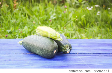 Zucchini on wooden boards outdoors Zucchini on wooden boards outdoors 95965461