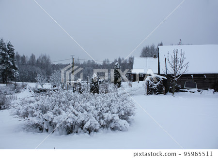 Landscape with snow covered trees and rural house in Latvia, East Europe. Landscape with snow covered trees and rural house in Latvia, East Europe. 95965511