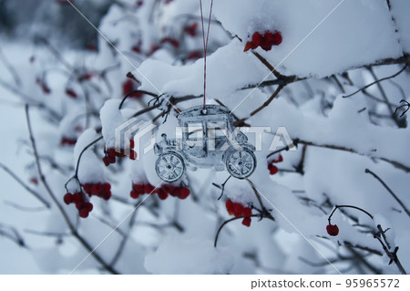 Trees with snow in winter park Trees with snow in winter park 95965572