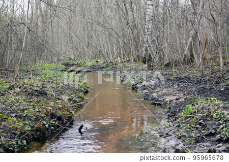 Small stream in the spring forest. Small stream in the spring forest. 95965678