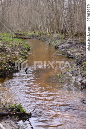 Small stream in the spring forest. 95965679
