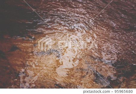 Small stream in the spring forest. Small stream in the spring forest. 95965680