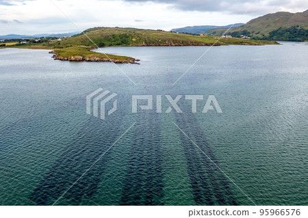 Aerial view of loyster farm by Ardara, County Donegal - Ireland 95966576