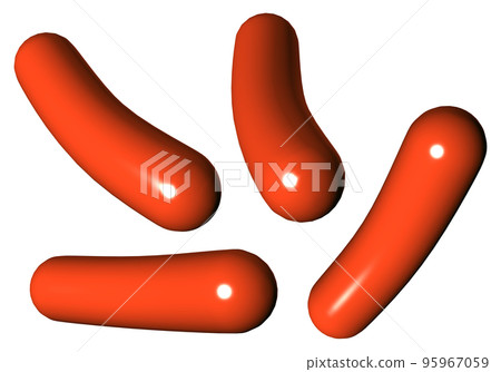 維納 維納 95967059