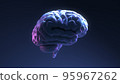 The Brain side view is on dark blue background. 95967262