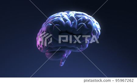 The Brain side view is on dark blue background. The Brain side view is on dark blue background. 95967262