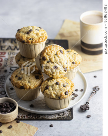 Chocolate chip muffins in plate on light gray background rustic style composition Chocolate chip muffins in plate on light gray background rustic style composition 95968498