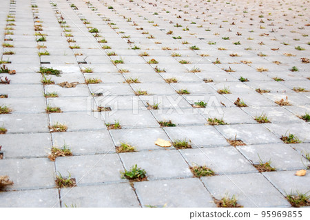 Green grass grows from the joints of paving slabs 95969855