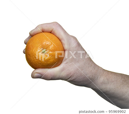Orange in the hand 95969902