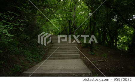 Stone steps in a green park. Staircase in the city of Lazarevskoe, Sochi, Russia 95970085