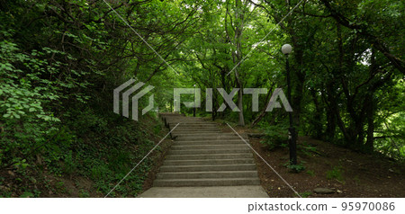Stone steps in a green park. Staircase in the city of Lazarevskoe, Sochi, Russia 95970086