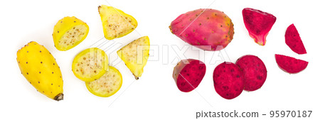 yellow prickly pear or opuntia isolated on a white background. Top view. Flat lay 95970187