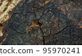 Close-up, the texture of the stone with a beautiful pattern. 95970241