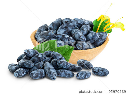 Fresh honeysuckle blue berry in wooden bowl isolated on white background with full depth of field 95970289