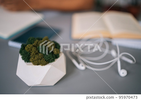 Close-up high-angle view of wired headphones and small potted houseplant on workplace desk. Selective focus of paper open book and modern mobile phone on blurred background, closeup, top view, Close-up high-angle view of wired headphones and small potted houseplant on workplace desk. Selective focus of paper open book and modern mobile phone on blurred background, closeup, top view, 95970473