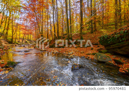 water flow among stones in the natural park. wonderful nature scenery in autumn. trees in fall colors on a sunny day 95970481