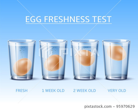 Realistic egg freshness test. Hen egg floating in glass with water, physical experience, fresh or bad product control, ingredient quality experiment, 3d isolated elements, utter vector concept 95970629