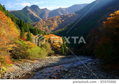 Autumn leaves in Tenkawa Village (North corner of Tenkawa Village, Yoshino District, Nara Prefecture National Route 309 Old Gyojakanrindo) Autumn leaves in Tenkawa Village (North corner of Tenkawa Village, Yoshino District, Nara Prefecture National Route 309 Old Gyojakanrindo) 95970866