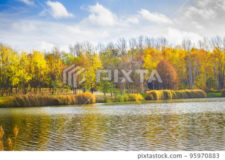 Pond in autumn park Pond in autumn park 95970883