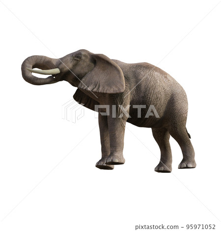 Illustration of an elephant in different poses and angles for collage or clip art. Pose number 1 isolated on white background. 3D rendering illustration. Illustration of an elephant in different poses and angles for collage or clip art. Pose number 1 isolated on white background. 3D rendering illustration. 95971052