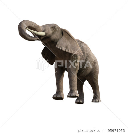 Illustration of an elephant in different poses and angles for collage or clip art. Pose number 1 isolated on white background. 3D rendering illustration. Illustration of an elephant in different poses and angles for collage or clip art. Pose number 1 isolated on white background. 3D rendering illustration. 95971053
