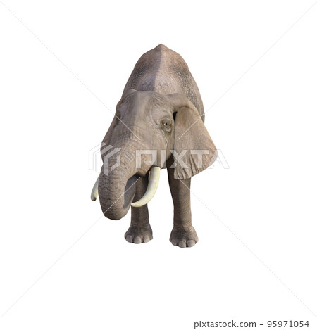 Illustration of an elephant in different poses and angles for collage or clip art. Pose number 1 isolated on white background. 3D rendering illustration. 95971054