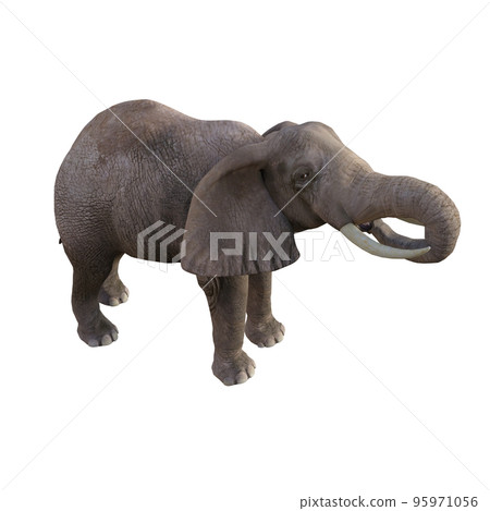 Illustration of an elephant in different poses and angles for collage or clip art. Pose number 1 isolated on white background. 3D rendering illustration. Illustration of an elephant in different poses and angles for collage or clip art. Pose number 1 isolated on white background. 3D rendering illustration. 95971056