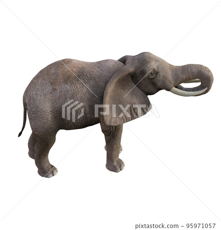 Illustration of an elephant in different poses and angles for collage or clip art. Pose number 1 isolated on white background. 3D rendering illustration. 95971057
