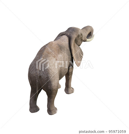 Illustration of an elephant in different poses and angles for collage or clip art. Pose number 1 isolated on white background. 3D rendering illustration. Illustration of an elephant in different poses and angles for collage or clip art. Pose number 1 isolated on white background. 3D rendering illustration. 95971059