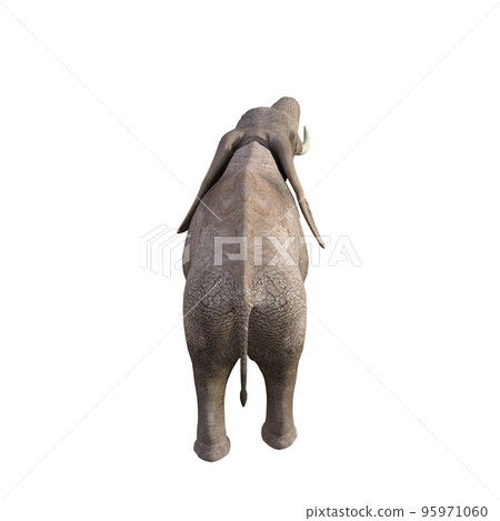 Illustration of an elephant in different poses and angles for collage or clip art. Pose number 1 isolated on white background. 3D rendering illustration. 95971060