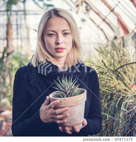 Portrait of florists woman working with flowers in a greenhouse holding a pot plant in her hand. Proud, successful small business owner Portrait of florists woman working with flowers in a greenhouse holding a pot plant in her hand. Proud, successful small business owner 95971375