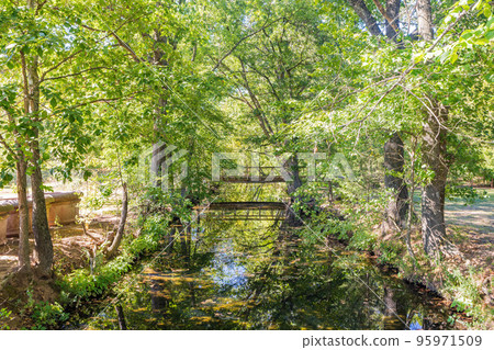 Sunny exterior view of the Botanical Garden of the Ozarks 95971509