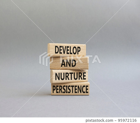 Persistence and development symbol. Wooden blocks with words Develop and nurture persistence. Beautiful grey background. Business and 'Develop and nurture persistence' concept. Copy space. 95972116