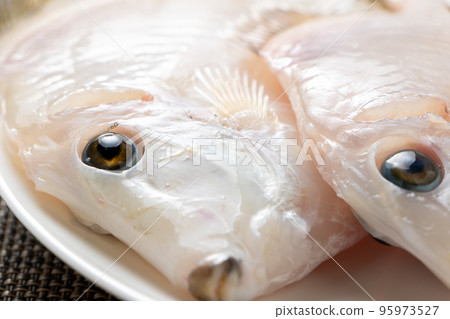 Close-up of peeled filefish. 95973527