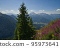 View from the Kehlstein to Schoenau am Koenigssee 95973641