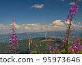 View from the mountain to the Berchtesgadener Land 95973646