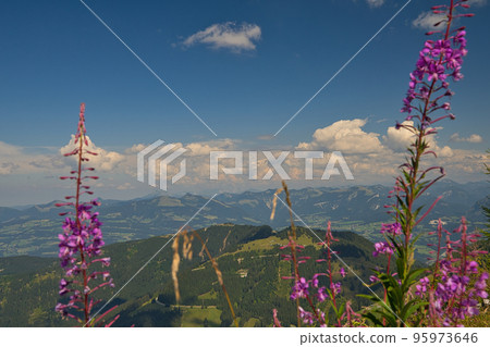 View from the mountain to the Berchtesgadener Land View from the mountain to the Berchtesgadener Land 95973646
