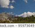 A beautiful mountain world with various plants 95973649
