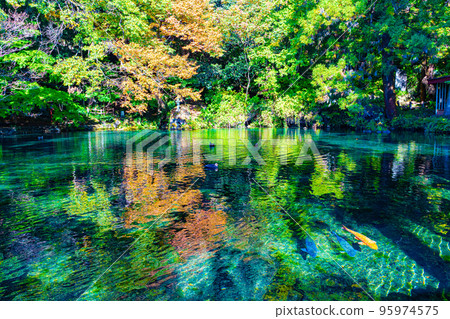 伊祖魯哈拉·本特尼克(Izuruhara Bentenike) 伊祖魯哈拉·本特尼克(Izuruhara Bentenike) 95974575