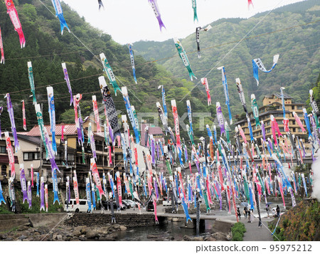 熊本縣阿蘇區小國町荻立溫泉下條的鯉魚堀祭 熊本縣阿蘇區小國町荻立溫泉下條的鯉魚堀祭 95975212