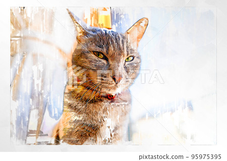 sketch style cat cat cat kijitora gray female female female cat female cat healthy pretty healing 95975395