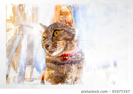 sketch style cat cat cat kijitora gray female female female cat female cat healthy pretty healing 95975397